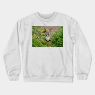 Gray Wolf Crewneck Sweatshirt